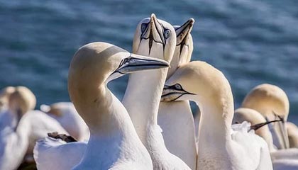 星空体育：在星空下点亮每一段运动旅程