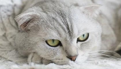 李乙容儿子谈03年父亲扇李毅：行为不可取，要用实力回应粗暴犯规